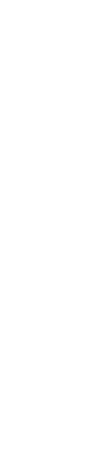 Dimensionalineage